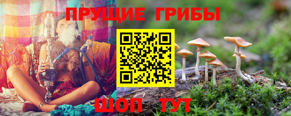 Галлюциногенные грибы ЛСД Грязи