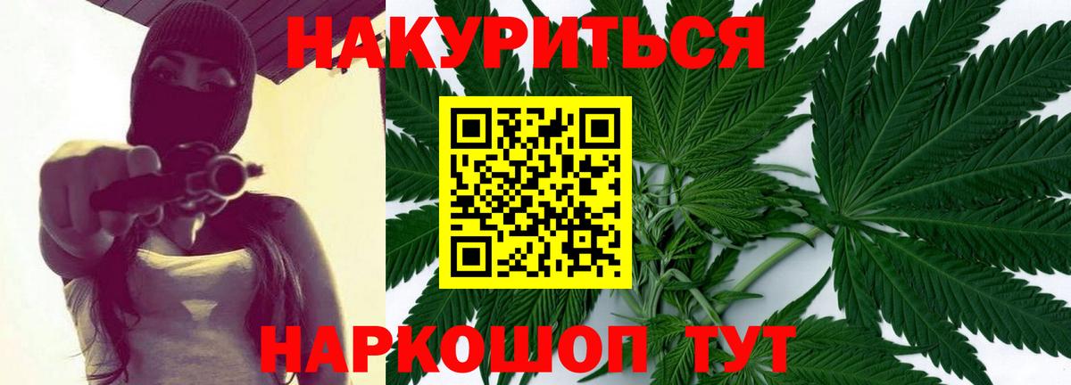 Шишки марихуана сатива  Марихуана OG Kush  Вход с VPN  Грязи  МАРИХУАНА сатива 